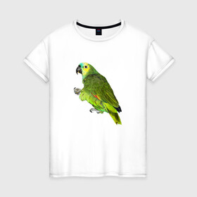 Женская футболка хлопок с принтом Попугайчик в Петрозаводске, 100% хлопок | прямой крой, круглый вырез горловины, длина до линии бедер, слегка спущенное плечо | bird | parrot | wings | крылья | попугай | птица