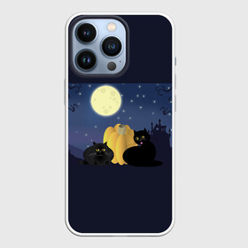 Чехол для iPhone 13 Pro с принтом Котострашилка в Петрозаводске,  |  | halloween | helloween | ведьма | котики | мистика | мистический дом | ночь | страшно | тыква | хеллоуин | хэллоуин