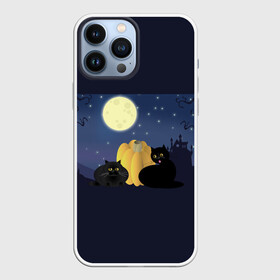 Чехол для iPhone 13 Pro Max с принтом Котострашилка в Петрозаводске,  |  | halloween | helloween | ведьма | котики | мистика | мистический дом | ночь | страшно | тыква | хеллоуин | хэллоуин