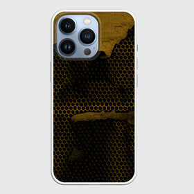 Чехол для iPhone 13 Pro с принтом Pittsburgh Penguins на спине в Петрозаводске,  |  | canada | ice | nhl | pittsburgh penguins | sport | usa | зима | канада | лед | малкин | пингвины | питсбург | спорт | сша | хоккей | шайбу