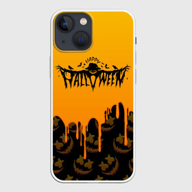 Чехол для iPhone 13 mini с принтом ХЕЛЛОУИН БРЫЗГИ КРАСОК   HALLOWEEN NIGHT в Петрозаводске,  |  | bats | bones | ghost | halloween | pumpkin | skull | кости | летучие мыши | приведение | призрак | скелет | тыква | хеллоуин | хоррор | хэллоуин