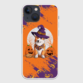 Чехол для iPhone 13 mini с принтом КОРГИ НА ХЭЛЛОУИНЕ в Петрозаводске,  |  | corgi | halloween | haloween | корги | пёс | рыжая | рыжая собака | собака | собакен | собачка | собачуха | хеллоин | хеллоуин | хелоин | хелоуин | хэллоин | хэллоуин | хэлоин | хэлоуин