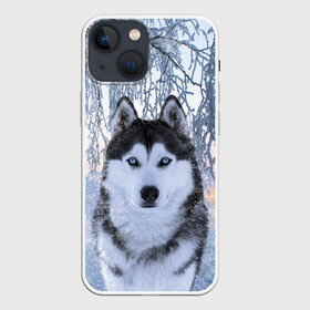 Чехол для iPhone 13 mini с принтом Хаски В Зимнем Лесу в Петрозаводске,  |  | dog | forest | husky | winter | зима | лес | новый год | снег | собака | хаски