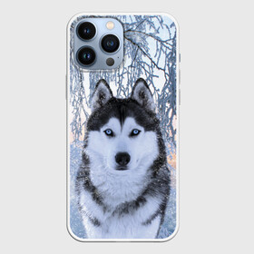 Чехол для iPhone 13 Pro Max с принтом Хаски В Зимнем Лесу в Петрозаводске,  |  | dog | forest | husky | winter | зима | лес | новый год | снег | собака | хаски