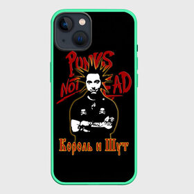 Чехол для iPhone 13 с принтом Punks Not Dead (КиШ) в Петрозаводске,  |  | anarchy | hard rock | heavy metal | punk rock | punks not dead | rock music | rocknroll | russian rock | анархия | горшок | князь | король и шут | металлист | михаил горшенёв | панк | панк рок | рок музыка | рокер | рокнролл | русский рок