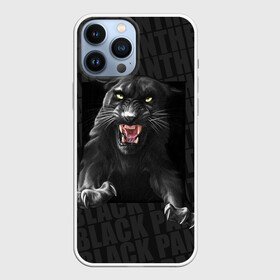 Чехол для iPhone 13 Pro Max с принтом Черная пантера Black panther в Петрозаводске,  |  | Тематика изображения на принте: black panther | атака | дикая кошка | злость | красивая кошка | черная кошка | черная пантера | ярость