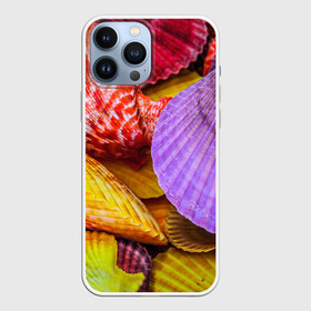 Чехол для iPhone 13 Pro Max с принтом Разноцветные ракушки  multicolored seashells в Петрозаводске,  |  | Тематика изображения на принте: holiday | multicolored seashells | sea | sea house | summer | лагуна | лето | моллюск | море | морская тема | морские обитатели | морские ракушки | морской пляж | океан | отпуск | перламутр | пляж | подводный мир