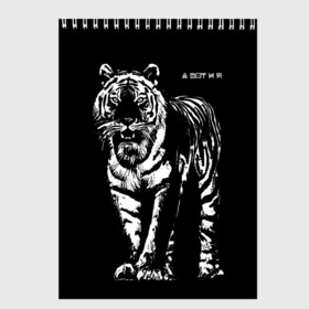 Скетчбук с принтом А вот и я, бандерлоги в Петрозаводске, 100% бумага
 | 48 листов, плотность листов — 100 г/м2, плотность картонной обложки — 250 г/м2. Листы скреплены сверху удобной пружинной спиралью | 2022 | and here i am | big cat | came | new year | predator | tiger | year of the tiger | а вот и я | большая кошка | год тигра | новый год | пришел | тигр | хищник