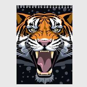 Скетчбук с принтом Амурский тигр в ночи в Петрозаводске, 100% бумага
 | 48 листов, плотность листов — 100 г/м2, плотность картонной обложки — 250 г/м2. Листы скреплены сверху удобной пружинной спиралью | 2022 | aggression | amur tiger | beast | grin | new year | night | open mouth | predator | snowfall | winter | year of the tiger | агрессия | амурский тигр | год тигра | зверь | зима | новый год | ночь | оскал | открытая пасть | снегопад | хищник