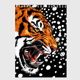 Скетчбук с принтом Амурский тигр и снегопад в Петрозаводске, 100% бумага
 | 48 листов, плотность листов — 100 г/м2, плотность картонной обложки — 250 г/м2. Листы скреплены сверху удобной пружинной спиралью | Тематика изображения на принте: 2022 | amur tiger | beast | grin | new year | night | open mouth | predator | profile | snowfall | winter | year of the tiger | амурский тигр | год тигра | зверь | зима | новый год | ночь | оскал | открытая пасть | профиль | снегопад | хищник