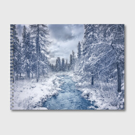 Альбом для рисования с принтом СНЕЖНЫЙ ПЕЙЗАЖ в Петрозаводске, 100% бумага
 | матовая бумага, плотность 200 мг. | Тематика изображения на принте: fores | ice | snow | white | winter | белый | вода | зима | иней | красота | лед | лес | мороз | небо | новый год | пейзаж | природа | река | ручей | снег