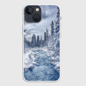 Чехол для iPhone 13 mini с принтом СНЕЖНЫЙ ПЕЙЗАЖ в Петрозаводске,  |  | Тематика изображения на принте: fores | ice | snow | white | winter | белый | вода | зима | иней | красота | лед | лес | мороз | небо | новый год | пейзаж | природа | река | ручей | снег