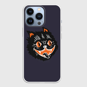 Чехол для iPhone 13 Pro с принтом Одержимый кот в Петрозаводске,  |  | anger | black | cat | eyes | halloween | mad | mystic | obsessed | rage | teeth | бешеный | глаза | гнев | зубы | кот | мистика | одержимый | хэллоуин | черный | ярость