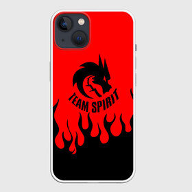 Чехол для iPhone 13 с принтом Тим спирит огонь. в Петрозаводске,  |  | cs go | dota | dota 2 | fire | team spirit | дракон | киберспорт | кс го | огонь | спирит | тим спирит