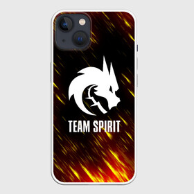 Чехол для iPhone 13 с принтом Team Spirit   Тим Спирит. в Петрозаводске,  |  | cs go | dota | dota 2 | team spirit | дракон | киберспорт | кс го | спирит | тим спирит