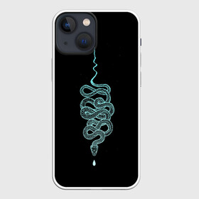 Чехол для iPhone 13 mini с принтом вьющаяся змея в Петрозаводске,  |  | animal | blue | curly | dangerous | deadly | ghostly | phobia | reptile | snake | вьющаяся | голубая | животное | змея | опаснавя | призрачная | фобия