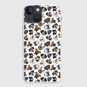 Чехол для iPhone 13 mini с принтом Разные Породы Собак в Петрозаводске,  |  | animal | dog | барбос | бобик | год собаки | друг человека | животное | зверь | ищейка | кинолог | кость | лайка | лапы | пес | собака | собачка | хищник | четвероногий | шарик | щенок