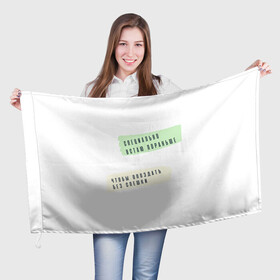 Флаг 3D с принтом Опаздываю без спешки в Петрозаводске, 100% полиэстер | плотность ткани — 95 г/м2, размер — 67 х 109 см. Принт наносится с одной стороны | радость | сарказм | счастье | юмор