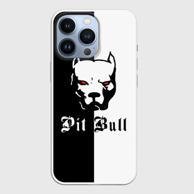 Чехол для iPhone 13 Pro с принтом Pit Bull (боец) в Петрозаводске,  |  | boxer | bulldog | fighting dog | pit bull | барбос | бобик | бойцовская собака | бойцовский пес | боксер | бульдог | волкодав | год со | друг человека | животное | зверь | ищейка | кинолог | кость | лайка | лапы | лев | пес