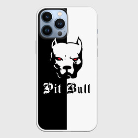 Чехол для iPhone 13 Pro Max с принтом Pit Bull (боец) в Петрозаводске,  |  | boxer | bulldog | fighting dog | pit bull | барбос | бобик | бойцовская собака | бойцовский пес | боксер | бульдог | волкодав | год со | друг человека | животное | зверь | ищейка | кинолог | кость | лайка | лапы | лев | пес