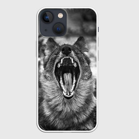 Чехол для iPhone 13 mini с принтом Волчья пасть, зевает в Петрозаводске,  |  | wolf | wolfs | волк | волка | волки | волчара | волчья | животные | звери | зевает | лес | оскал | пасть | природа