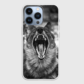 Чехол для iPhone 13 Pro с принтом Волчья пасть, зевает в Петрозаводске,  |  | wolf | wolfs | волк | волка | волки | волчара | волчья | животные | звери | зевает | лес | оскал | пасть | природа