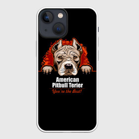 Чехол для iPhone 13 mini с принтом Американский Питбультерьер (Pit Bull) в Петрозаводске,  |  | american pit bull terrier | boxer | bulldog | fighting dog | pit bull | американский питбультерьер | бойцовская собака | бойцовский пес | боксер | бульдог | волкодав | друг человека | кинолог | пес | питбуль | питбультерьер