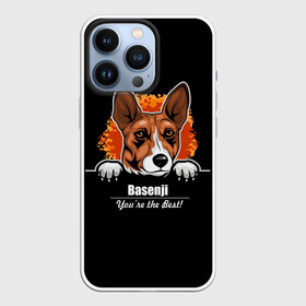 Чехол для iPhone 13 Pro с принтом Басенджи (Basenji) в Петрозаводске,  |  | african dog | animal | basenji | congo terrier | dog | африканская собака | басенджи | год собаки | друг человека | животное | зверь | кинолог | конго терьер | пёс | собака басенджи | собаковод | четвероногий