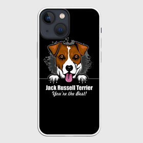 Чехол для iPhone 13 mini с принтом Джек Рассел Терьер (Jack Russell Terrier) в Петрозаводске,  |  | animal | dog terrier | jack russell terrier | год собаки | джек рассел терьер | друг человека | животное | зверь | кинолог | охотничья собака | пёс | пёсик | собака джек рассел терьер | собаковод | терьер