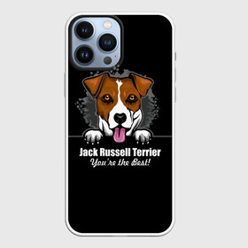 Чехол для iPhone 13 Pro Max с принтом Джек Рассел Терьер (Jack Russell Terrier) в Петрозаводске,  |  | Тематика изображения на принте: animal | dog terrier | jack russell terrier | год собаки | джек рассел терьер | друг человека | животное | зверь | кинолог | охотничья собака | пёс | пёсик | собака джек рассел терьер | собаковод | терьер