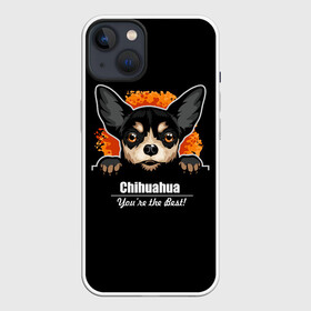 Чехол для iPhone 13 с принтом Чихуахуа (Chihuahua) в Петрозаводске,  |  | animal | chihuahua | dog | год собаки | друг человека | животное | зверь | карликовая собачка | карманная собачка | кинолог | маленькая собака | пёс | пёсик | собака чихуахуа | собаковод | четвероногий