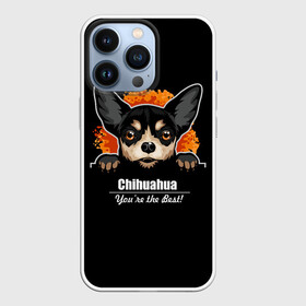 Чехол для iPhone 13 Pro с принтом Чихуахуа (Chihuahua) в Петрозаводске,  |  | animal | chihuahua | dog | год собаки | друг человека | животное | зверь | карликовая собачка | карманная собачка | кинолог | маленькая собака | пёс | пёсик | собака чихуахуа | собаковод | четвероногий