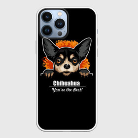 Чехол для iPhone 13 Pro Max с принтом Чихуахуа (Chihuahua) в Петрозаводске,  |  | animal | chihuahua | dog | год собаки | друг человека | животное | зверь | карликовая собачка | карманная собачка | кинолог | маленькая собака | пёс | пёсик | собака чихуахуа | собаковод | четвероногий