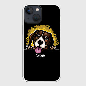 Чехол для iPhone 13 mini с принтом Бигль (Beagle) в Петрозаводске,  |  | animal | beagle | dog | hunting dog | бигль | год собаки | гончая собака | друг человека | животное | зверь | кинолог | охотничья собака | пес | порода собак | собака бигль | собаковод | собачка | хищник