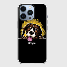 Чехол для iPhone 13 Pro с принтом Бигль (Beagle) в Петрозаводске,  |  | animal | beagle | dog | hunting dog | бигль | год собаки | гончая собака | друг человека | животное | зверь | кинолог | охотничья собака | пес | порода собак | собака бигль | собаковод | собачка | хищник