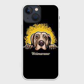 Чехол для iPhone 13 mini с принтом Веймаранер (Weimaraner) в Петрозаводске,  |  | animal | dog | hunting dog | weimaraner | веймаранер | веймарская овчарка | год собаки | друг человека | животное | зверь | кинолог | легавая | охотничья собака | пёс | порода собак | собака | собака веймаранер