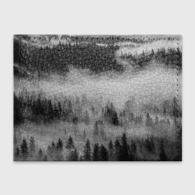 Обложка для студенческого билета с принтом ТУМАННЫЙ ЛЕС | FOREST в Петрозаводске, натуральная кожа | Размер: 11*8 см; Печать на всей внешней стороне | forest | деревья | дым | лес | мрачный лес | природа | туман
