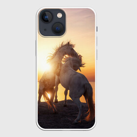 Чехол для iPhone 13 mini с принтом Лошади на закате в Петрозаводске,  |  | восход | животные | закат | звери | кони | конь | коняшка | лошади | лошадка | лошадь | на восходе | на закате | пони | природа | солнце