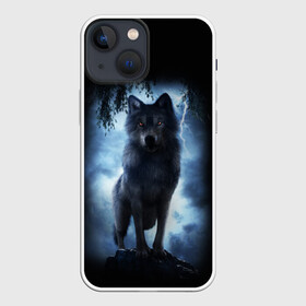 Чехол для iPhone 13 mini с принтом ВОЛК БРОДЯГА в Петрозаводске,  |  | animals | dark | gray | hunter | night | wolf | бродяга | волк | животные | звери | ночь | одиночка | охотник | серый | хищник