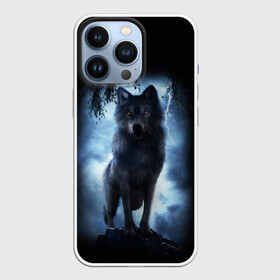 Чехол для iPhone 13 Pro с принтом ВОЛК БРОДЯГА в Петрозаводске,  |  | animals | dark | gray | hunter | night | wolf | бродяга | волк | животные | звери | ночь | одиночка | охотник | серый | хищник