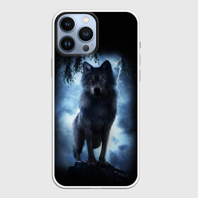 Чехол для iPhone 13 Pro Max с принтом ВОЛК БРОДЯГА в Петрозаводске,  |  | animals | dark | gray | hunter | night | wolf | бродяга | волк | животные | звери | ночь | одиночка | охотник | серый | хищник