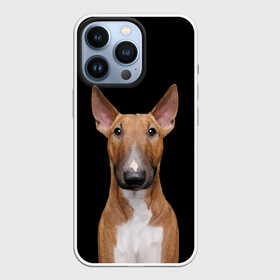 Чехол для iPhone 13 Pro с принтом Строгий смелый взгляд в Петрозаводске,  |  | bull terrier | dog | ears | eyes | muzzle | view | бультерьер | взгляд | глаза | пёс | собака | уши