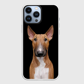 Чехол для iPhone 13 Pro Max с принтом Строгий смелый взгляд в Петрозаводске,  |  | bull terrier | dog | ears | eyes | muzzle | view | бультерьер | взгляд | глаза | пёс | собака | уши