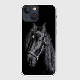 Чехол для iPhone 13 mini с принтом Лошадь на черном фоне в Петрозаводске,  |  | Тематика изображения на принте: восход | животные | закат | звери | кони | конь | коняшка | лошади | лошадка | лошадь | на восходе | на закате | пони | природа | солнце