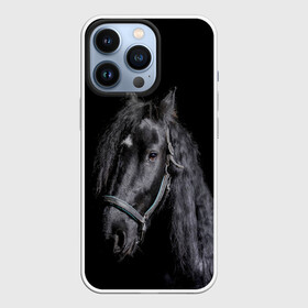 Чехол для iPhone 13 Pro с принтом Лошадь на черном фоне в Петрозаводске,  |  | восход | животные | закат | звери | кони | конь | коняшка | лошади | лошадка | лошадь | на восходе | на закате | пони | природа | солнце