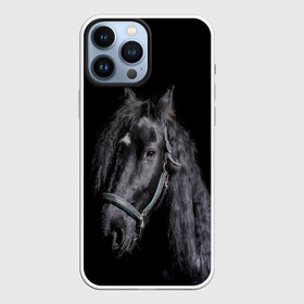 Чехол для iPhone 13 Pro Max с принтом Лошадь на черном фоне в Петрозаводске,  |  | Тематика изображения на принте: восход | животные | закат | звери | кони | конь | коняшка | лошади | лошадка | лошадь | на восходе | на закате | пони | природа | солнце