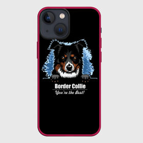 Чехол для iPhone 13 mini с принтом Бордер Колли (Border Collie) в Петрозаводске,  |  | animal | border collie | dog | бордер колли | год собаки | друг человека | животное | зверь | ищейка | кинолог | кость | овчарка | пастушья собака | пёс | порода собак | собака бордер колли | собаковод