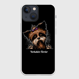 Чехол для iPhone 13 mini с принтом Собачка Йоркширский Терьер в Петрозаводске,  |  | york | yorkshire terrier | год | друг человека | животное | зверь | йорк | йоркширский терьер | карманная собака | кость | мальтезе | мальтийская болонка | манчестер терьер | мини собачка | пёс | скайтерьер