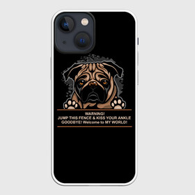 Чехол для iPhone 13 mini с принтом Собака Мопс в Петрозаводске,  |  | bulldog | pug | pug dog | pug puppies | бульдог | год собаки | друг человека | дружные мопсы | дядя мопс | животное | зверь | кинолог | мопс | пёс | порода собак | собака боксёр | собака мопс | собаковод | четвероногий