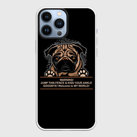 Чехол для iPhone 13 Pro Max с принтом Собака Мопс в Петрозаводске,  |  | bulldog | pug | pug dog | pug puppies | бульдог | год собаки | друг человека | дружные мопсы | дядя мопс | животное | зверь | кинолог | мопс | пёс | порода собак | собака боксёр | собака мопс | собаковод | четвероногий